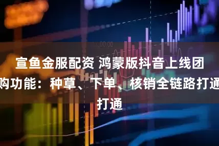 宣鱼金服配资 鸿蒙版抖音上线团购功能：种草、下单、核销全链路打通