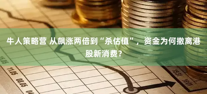 牛人策略营 从飙涨两倍到“杀估值”，资金为何撤离港股新消费？