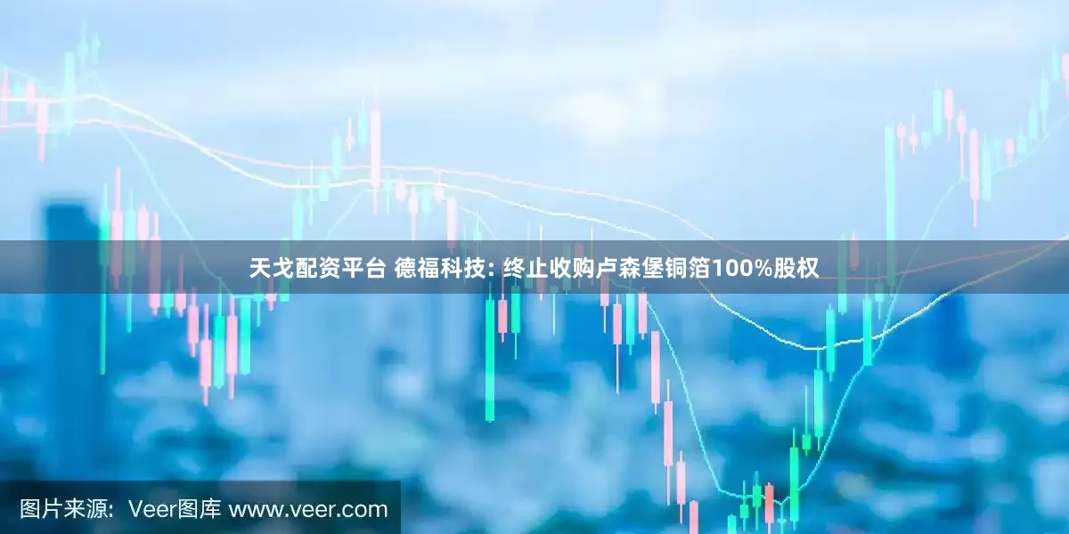 天戈配资平台 德福科技: 终止收购卢森堡铜箔100%股权